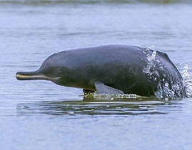 same Day Taj Mahal Tour by Train