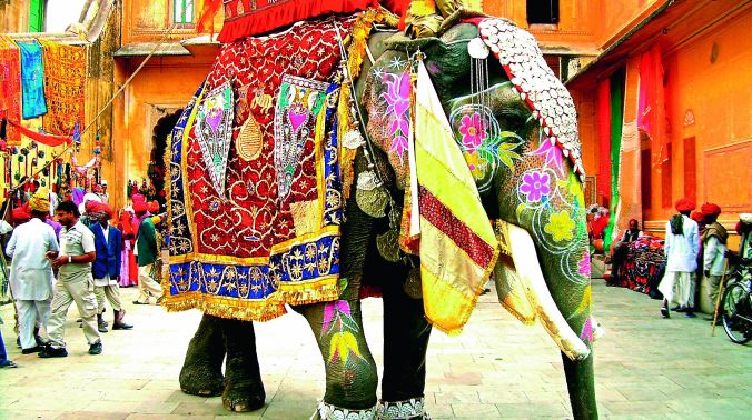 Taj Mahal Tour Happy Faces