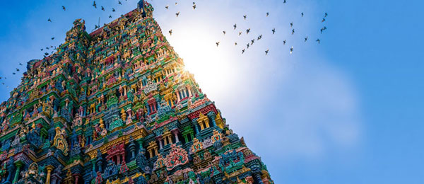 Padma Holidays India Trip Planner