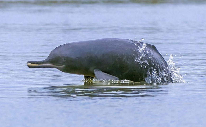 Jaipur Overnight Tour