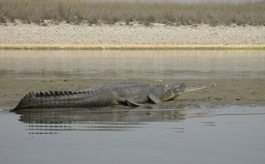 Jaipur Overnight Tour