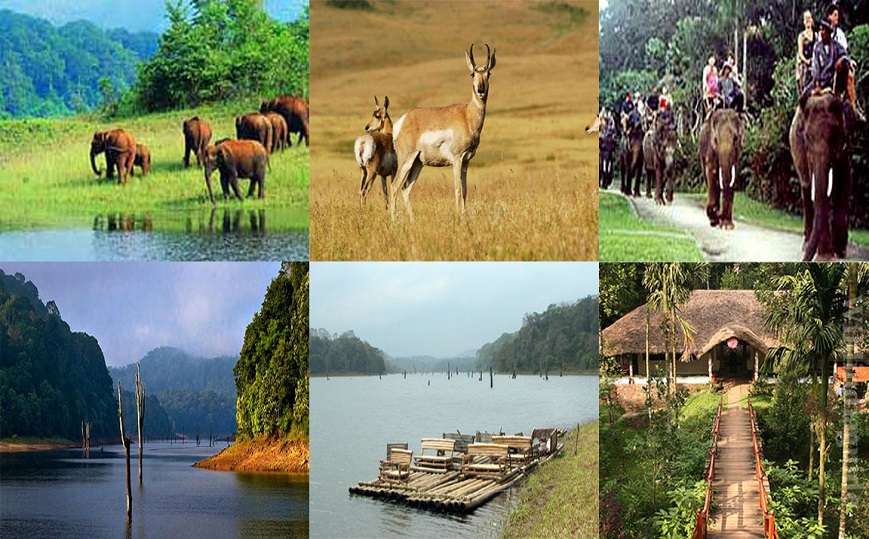 Taj Mahal Tour by Gatimaan Train