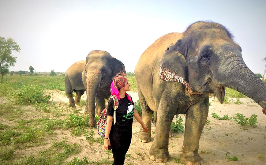 Same day Tajmahal tour with Elephant/Bear Sanctuary - Wildlife Sos in Agra & Bear Sanctuary near Agra - Padma Holidays Agra Wildlife Tour