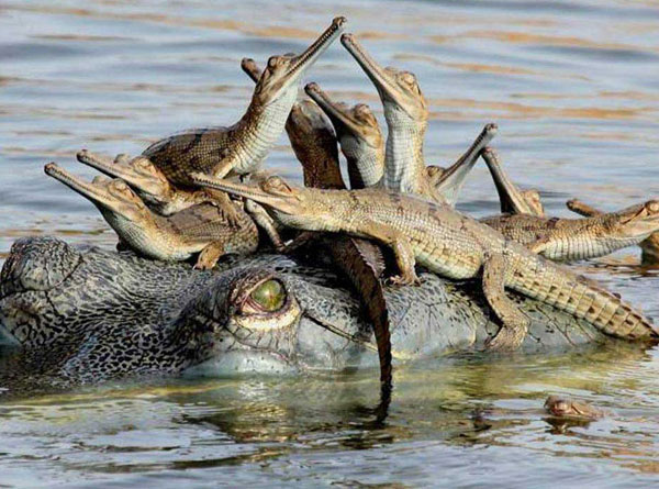 Taj Mahal Tour 3 Nights